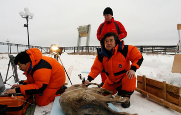 ���Ż�ʯ�����������ѧ���Ǹе��𾪡�