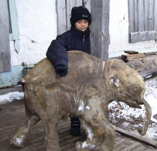 ���ŵķ�����ȫ��һ�����⡣