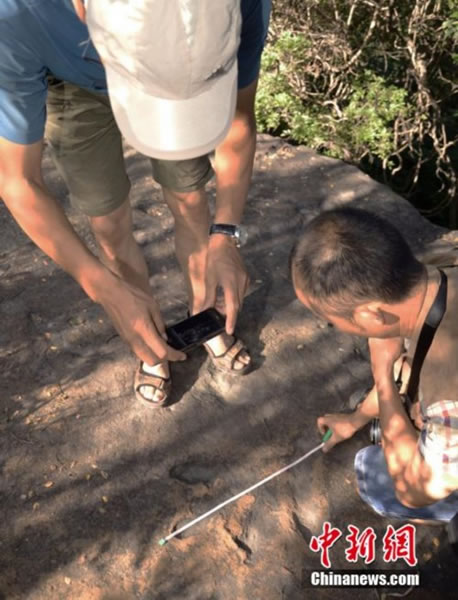 �Ĵ���֦���������㼣��ʯ