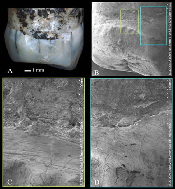 ��Դ�����湵�ۣ�A��B����ϸ�ƣ�C��D�������ɹ�ͼ��