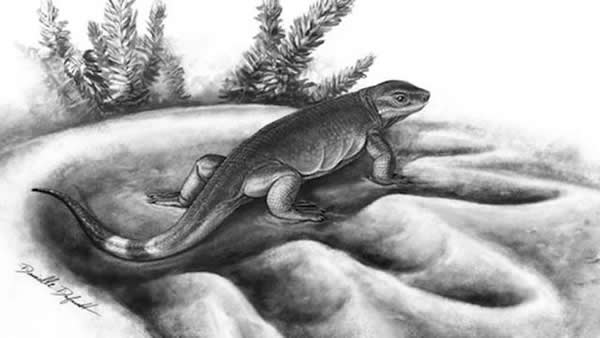 3����ǰС����ʳ����Eocasea��ͬʱ����֪���ʳ�ݶ���Ľ�ӡ