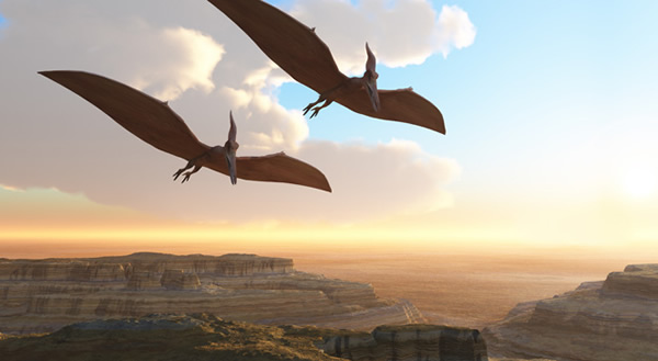 新发现的翼手龙(Kryptodrakon progenitor)复原图