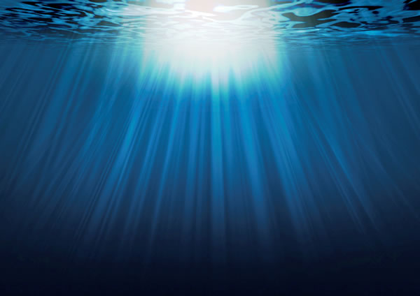 地球生命出现前的早期海洋中存在生物体代谢反应