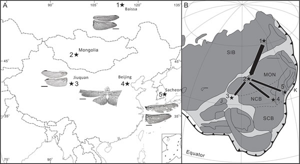 ���������ѷֲ�������ɢ;��