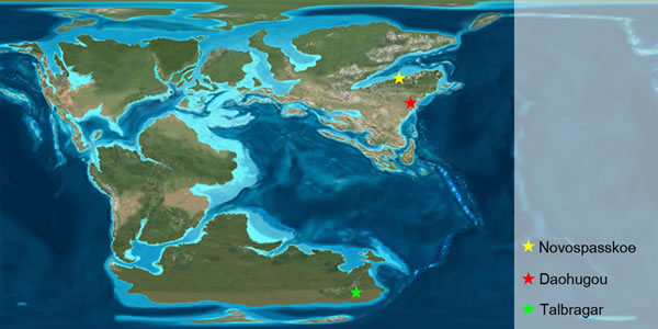 ��٪�����⻬�����ĵ����ֲ�