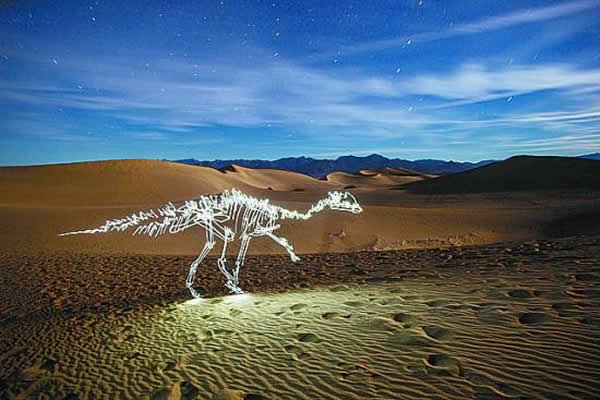 �Դ����ӿ��������ߵ���ѧ������