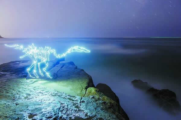 �Դ����ӿ��������ߵ���ѧ������