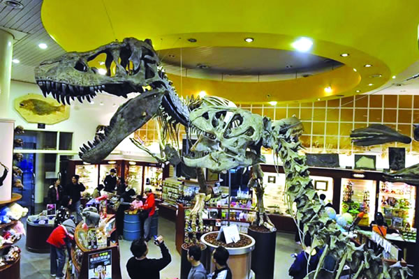 �����ڲ������������½������׽������ʯչ�м���չ���Ŀ�����ʯ