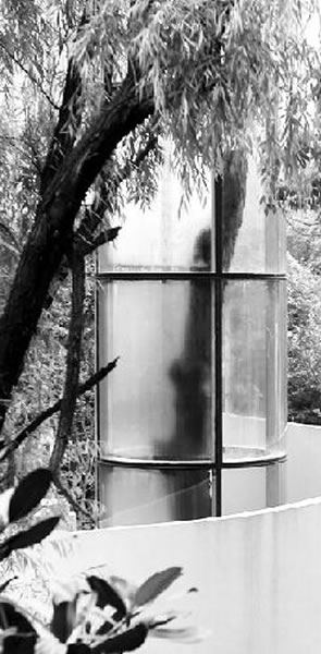 古木的沧海桑田 从“植物化石”看“武汉”