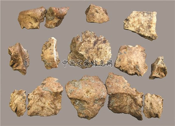 �龮��������ַ���־��10���ꡰ������2��ͷ�ǡ���ʯ