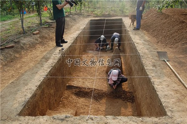 2012���Ծ�������3�㷢���ֳ���Ƭ