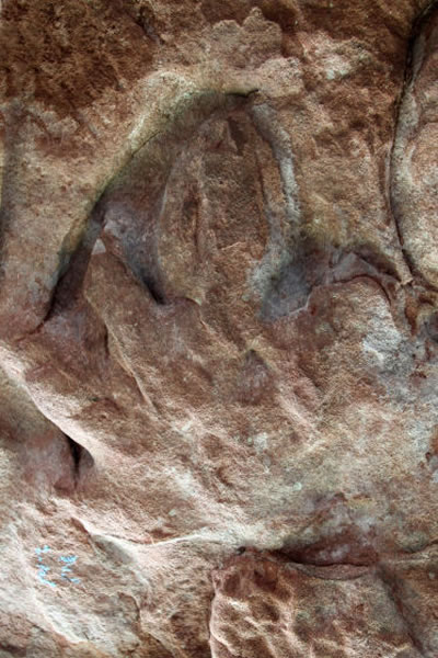 ��������ӡ�Ŀ����㼣