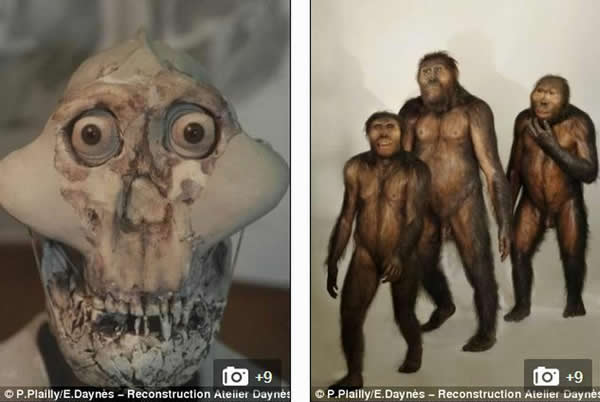 ���ϰ���