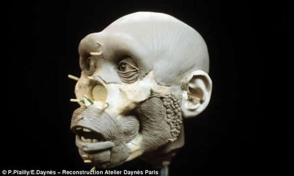 ��ͼ�������ˡ�ģ��