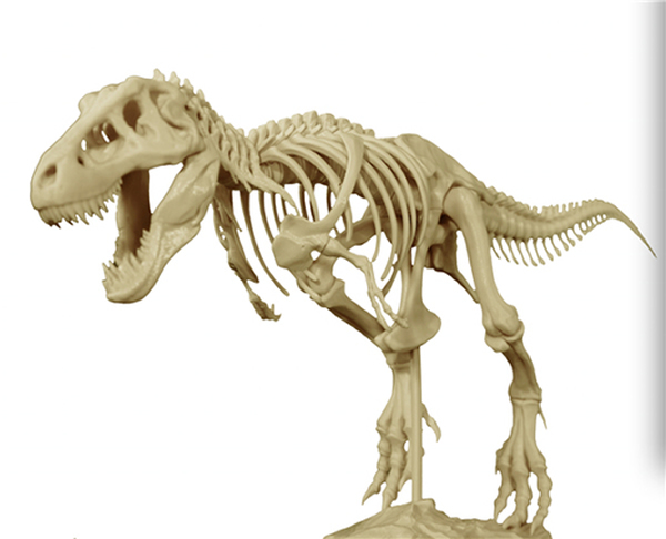 3D��ӡ�������Ǽ�