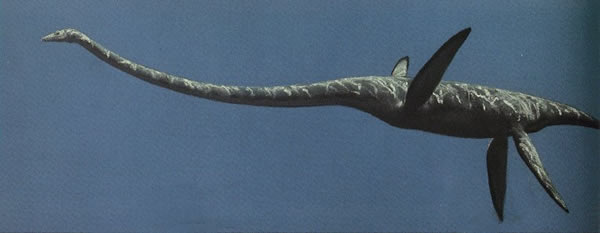 ����˿Ī����ԭͼ