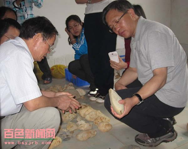 ����ר���ڼ��ͱ걾