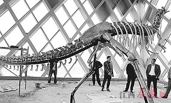 �������ݵ���������3�ֿ�����ʯ��Ʒ��