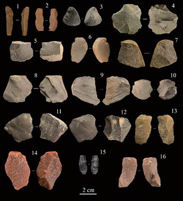 ˮ������ַ��7�ص�����Ĳ���ʯҶ������ʯƬ�������Ĺ�ͼ��