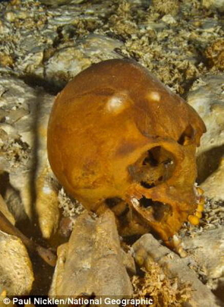 这是潜水员在墨西哥海底洞穴中发现的“纳亚”头骨。科学家通过分析头骨和骨骼DNA，发现1.3万年前亚洲人迁移至美洲，他们穿过一个大陆桥抵达美洲。