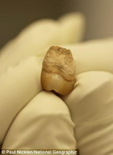 �о���Ա���������ǳ����������о�������