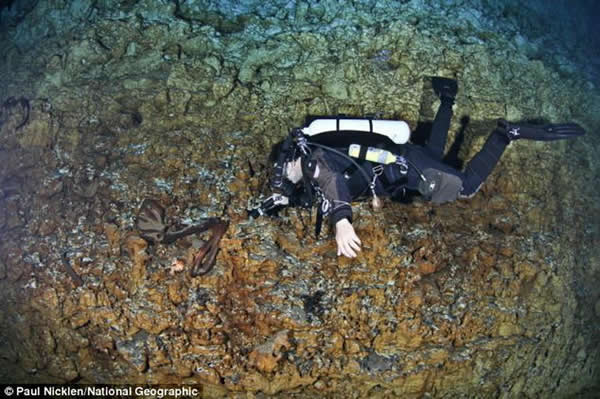 ���������ں���44.2�������һ�����ɳ˹������ǰ֫�����������ˮ�¶�Ѩ�ﹲ�������ֵ������֡�֮ǰ�������ϲ�ƫԶ������δ����ɳ˹�����������к���