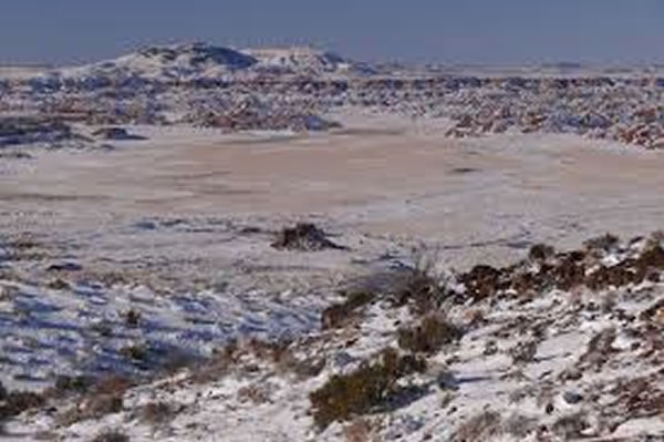 ���޵Ŀ�����ɢ