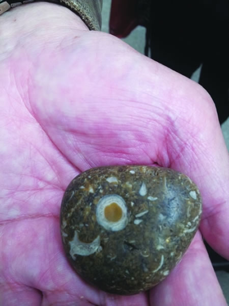 ����ʮ����������껨ʯ��ʯ