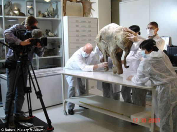 ���������������ı��������ŵ��ź������Ѿ�����ջ����б�����4����꣬�����ζ�������޷��������������帯�á�