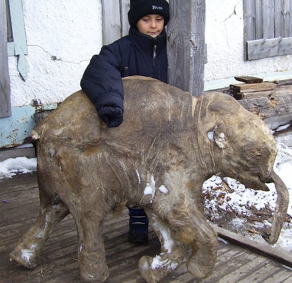 Yuri Khudi�����Ķ��ӷ�����ֻ���������̵��ź���ȫ��һ�����⣬��ʱ�������������𱴺�Ѱ��ľͷ��