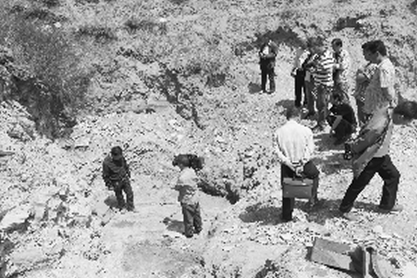 ��������ʯ�������ֳ�