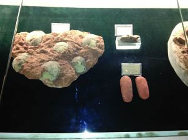 ���˿��������Ŀ�������ȣ���ͷ�ܽ�С