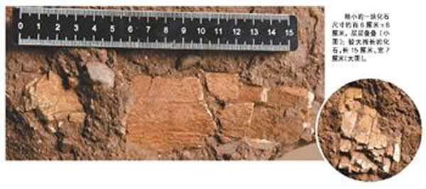 �㶫��Դ�н�����6500����ǰ�����������ʯ