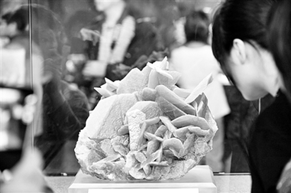 �����������̿��й��ʺ�