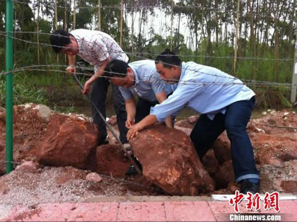 �㶫��Դ���ֱ��ι����������ʯ