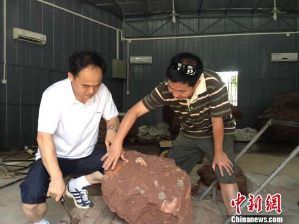 �㶫��Դ���ֱ��ι����������ʯ