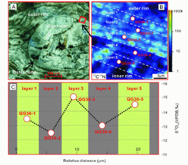 介形虫化石壳体微区氧同位素变化特征,表明介形虫壳化石氧同位素没有受到后期成岩作用的影响