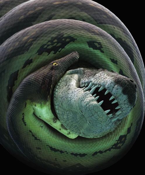 6000����ǰ4.8�׳�������17�׳����������������� ����ʮ�־���