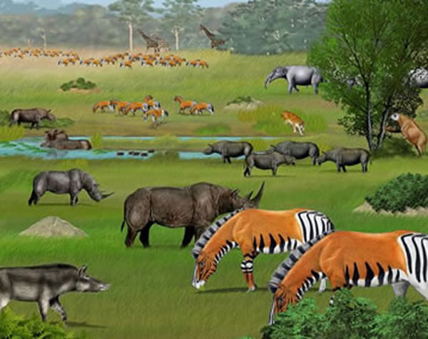 �����������Ⱥ���ԭͼ