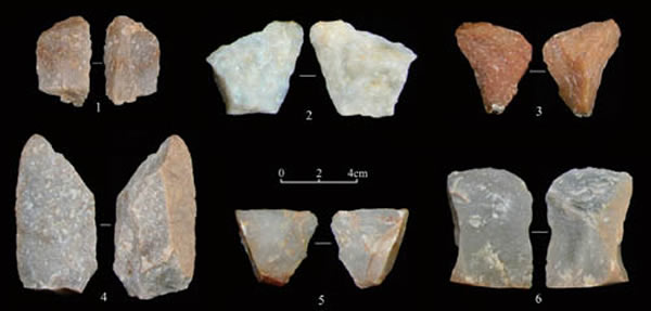 ͼ2 ����1�ŵص㷢�����񲿷�����ʯƬ����ţ��ΰ��ͼ��