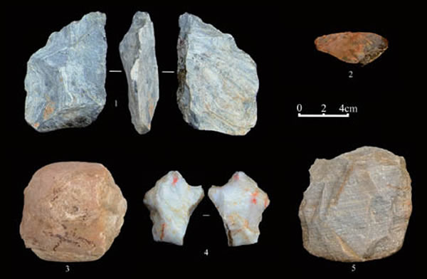 ͼ3 ����1�ŵص㷢�����񲿷�ʯ����ʯ����1����������2��5����������3��ʯ����4����״������ţ��ΰ��ͼ��