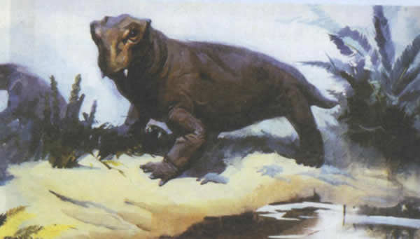 �й������޶���Ⱥ��ԭͼ