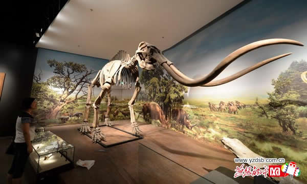 �������������