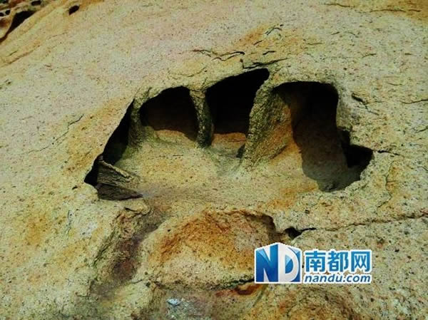 �㶫�麣������ʯ���ֿ�����ӡ��ʯ��ר�ҳ����ɺ�