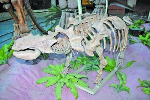 ��Դ�����չ��������������ʯģ��