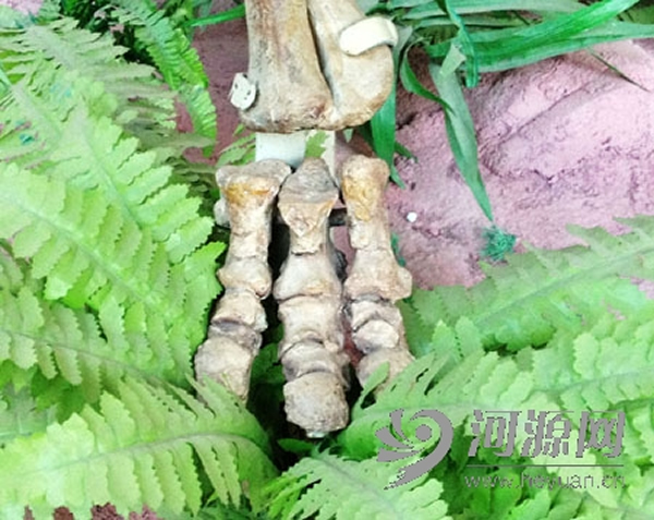 2013��7�·�������������ֺ��ʯ������ͼ�м�����ֺ��