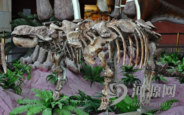 2013��7�·��ֵĿ���������ʯ��ȷ��Ϊ������������ֻ������С�����Դ���������չ���ļ���ģ�Ͳ���С��