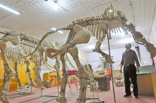 ��������������ݵĶ���������걾