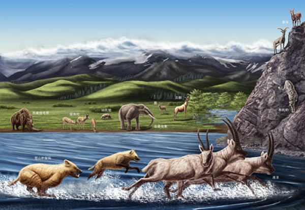 ���������������̬���۸�ԭ��Julie Selan�棩