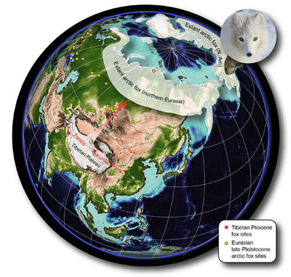 ����������Դ����ɢ����������ͼ��